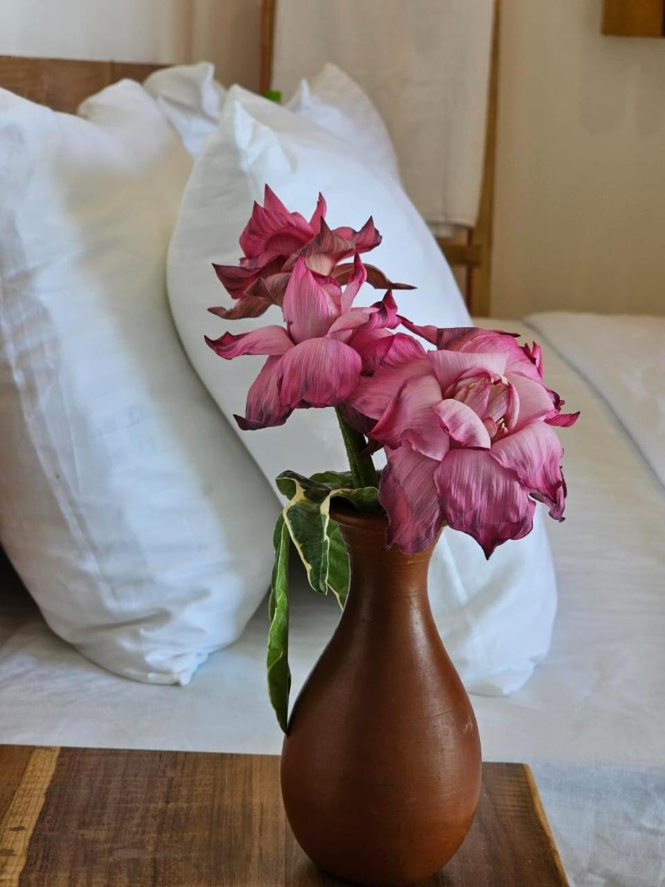 Muthu Sea View Hiriketiya Hotel Dikwella Kültér fotó